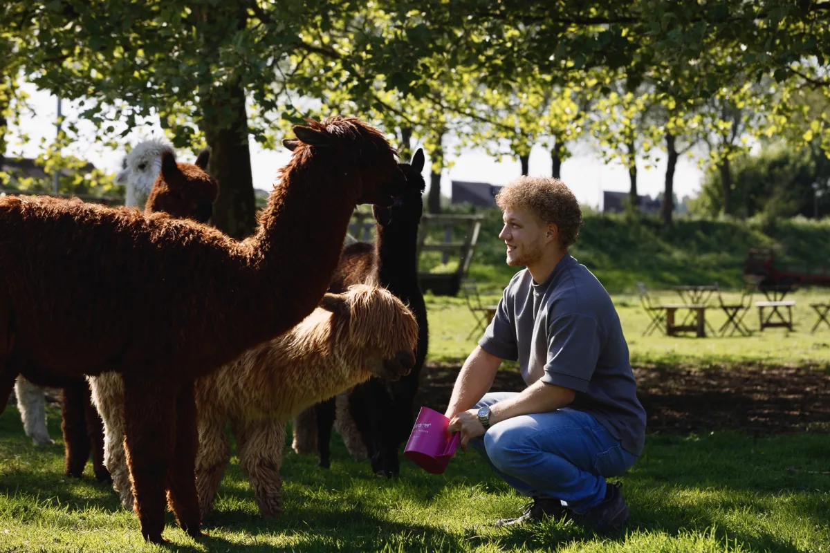 Teamfoto van Alpacaboerderij Dordrecht